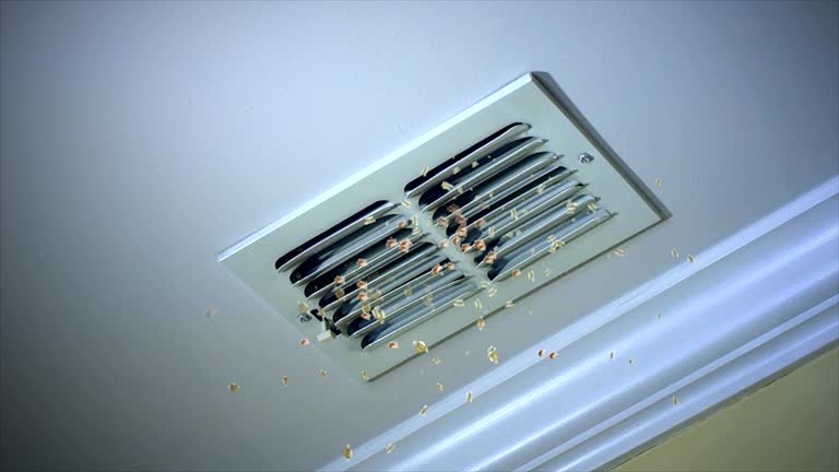 Best Air Duct Cleaning Near Me  in Iona, FL