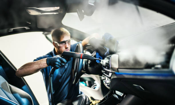 Best Air Duct Mold Removal  in Iona, FL