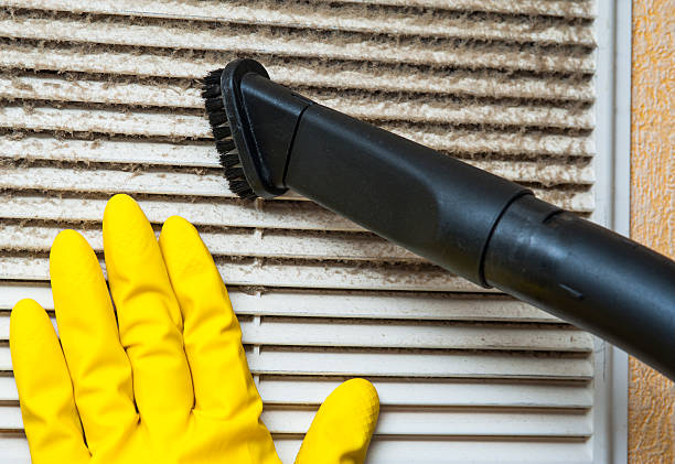 Best HVAC Duct Inspection Services  in Iona, FL